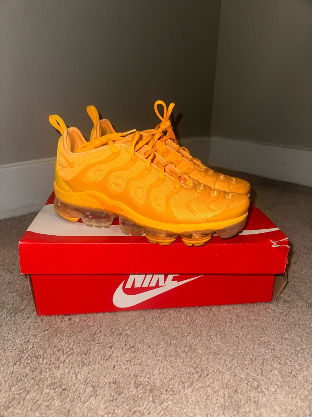 Nike Air Vapormax Plus